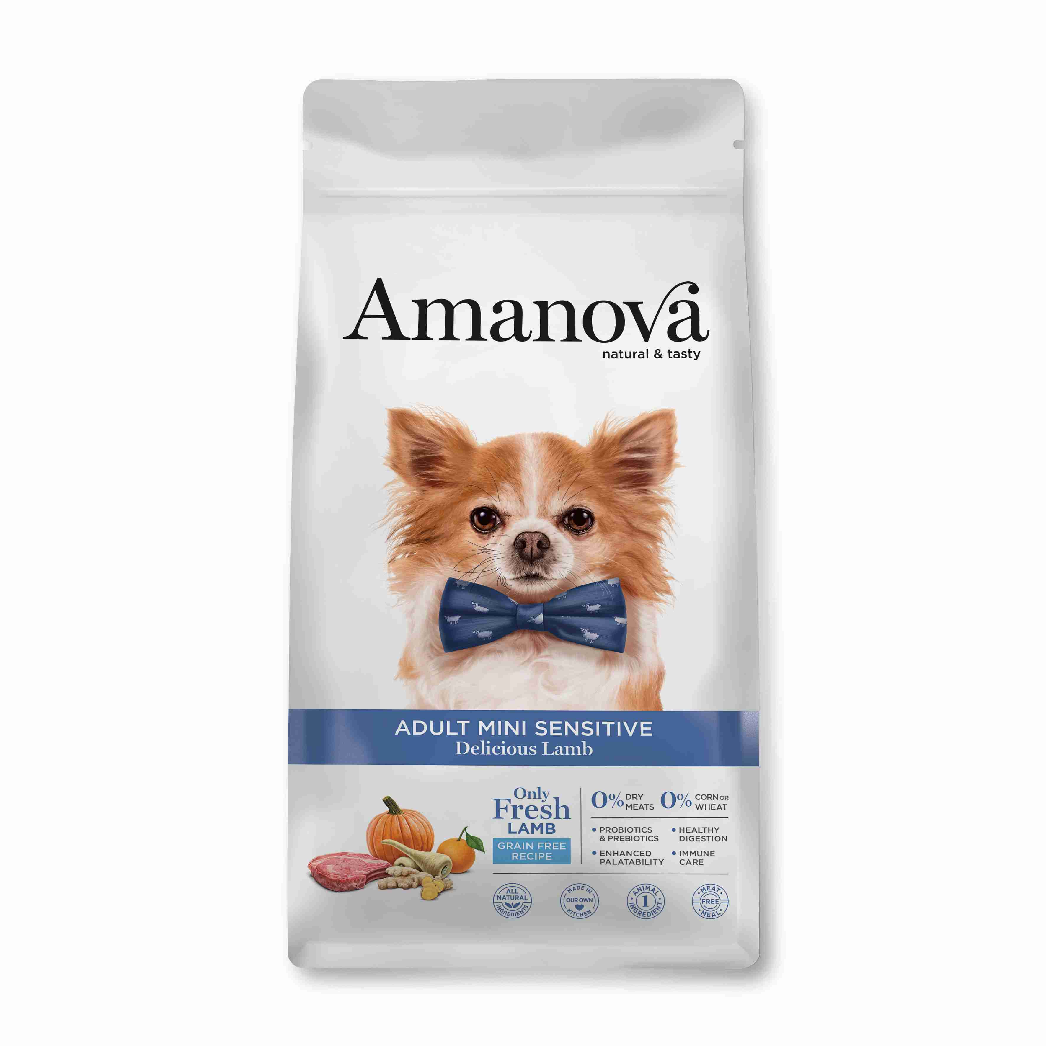 Best Pet Groomer